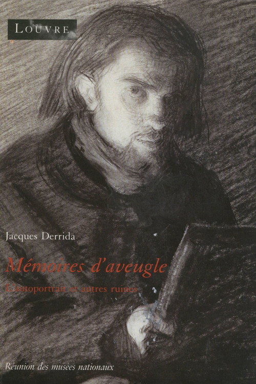 Movie poster for Memoirs of the Blind (1991)