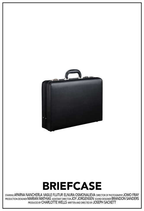 Movie poster for Briefcase (2016)
