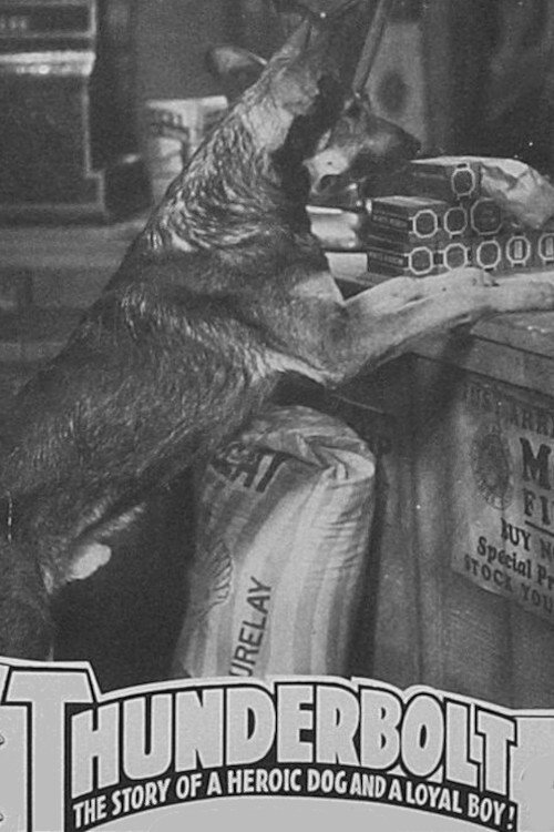 Movie poster for Thunderbolt (1935)