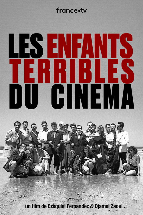 Movie poster for Les Enfants Terribles du Cinéma (2011)