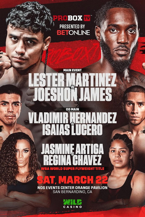 Movie poster for Lester Martinez vs. Joeshon James (2025)