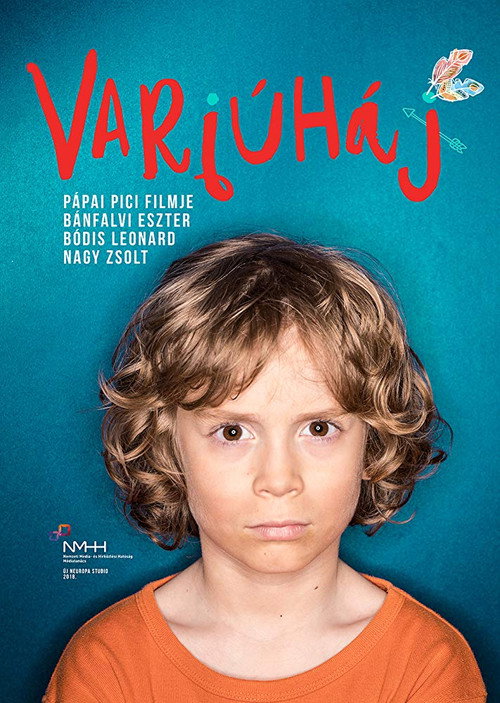 Movie poster for Varjúháj (2018)