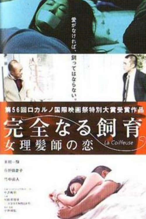 Movie poster for Perfect Education 5: Amazing Story (2004)