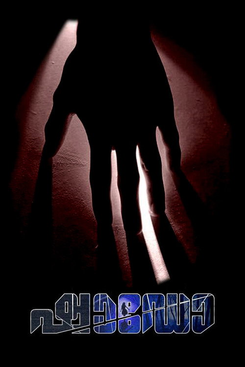Movie poster for Shadow (2018)