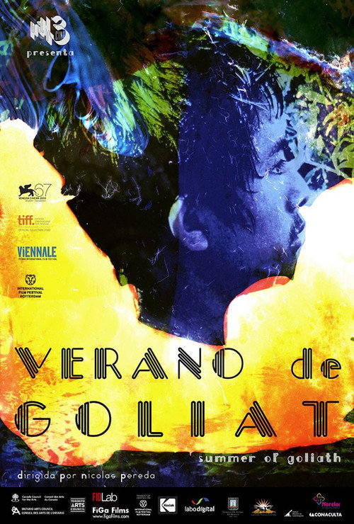 Movie poster for Summer of Goliath (2011)