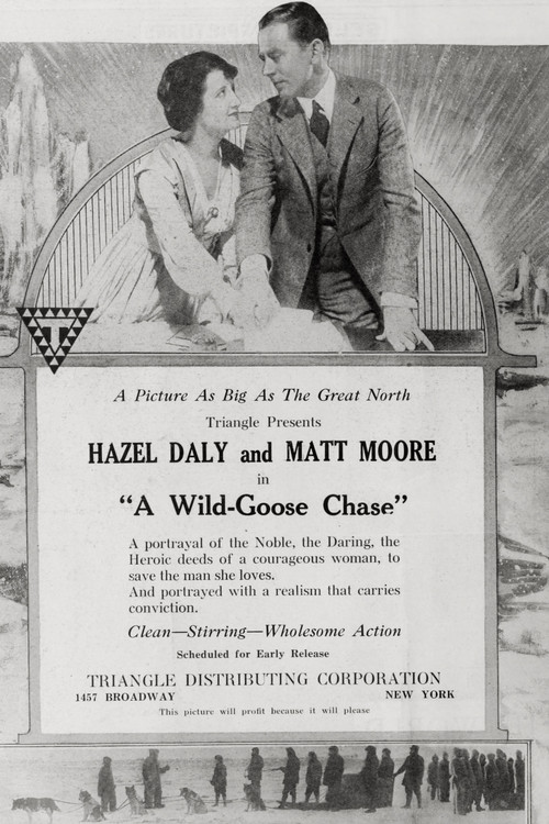 Movie poster for A Wild Goose Chase (1919)