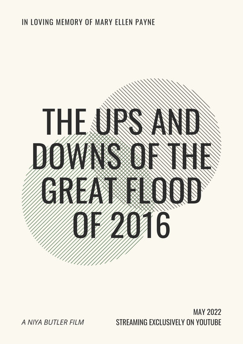 Movie poster for The Ups and Downs of the Great Flood of 2016 (2022)