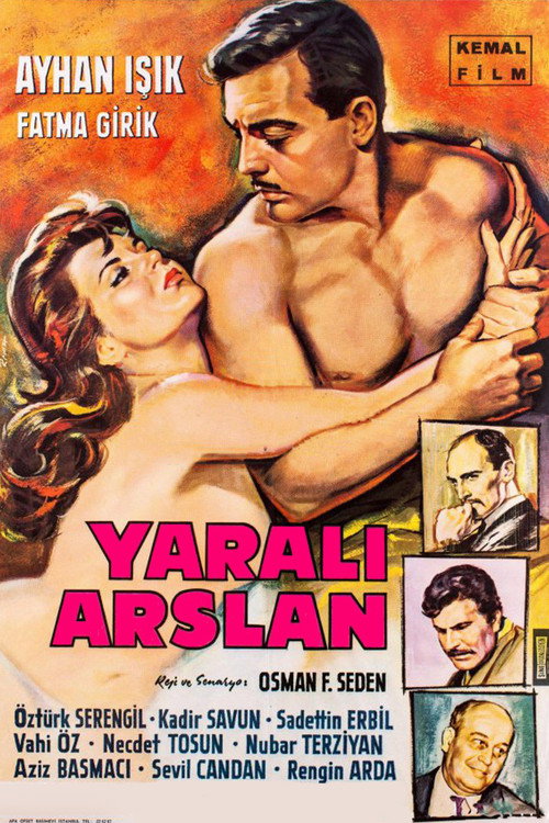 Movie poster for Yaralı Aslan (1963)