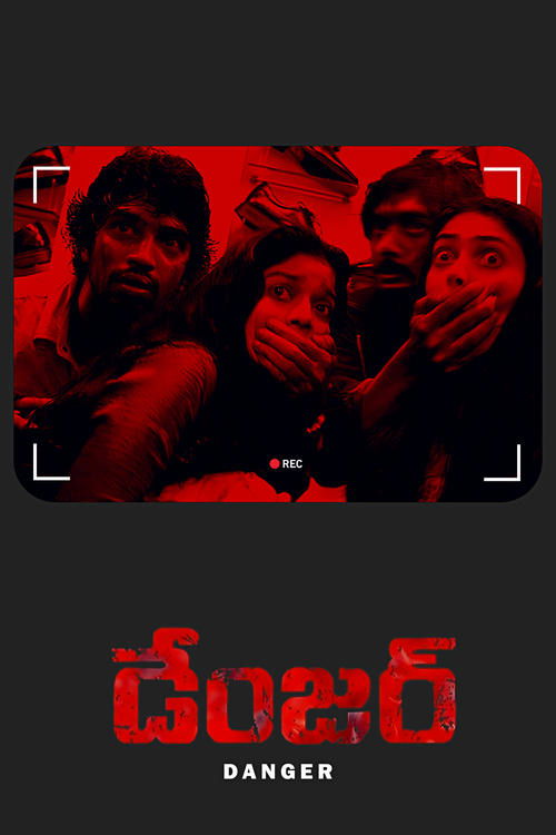Movie poster for Danger (2005)