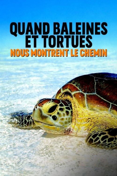 Movie poster for Quand baleines et tortues nous montrent le chemin (2020)