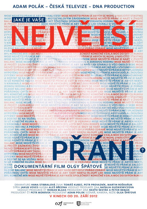 Movie poster for Největší přání (2012)