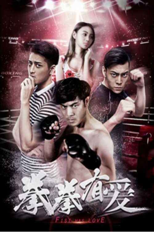 Movie poster for Fist Has Love (2019)