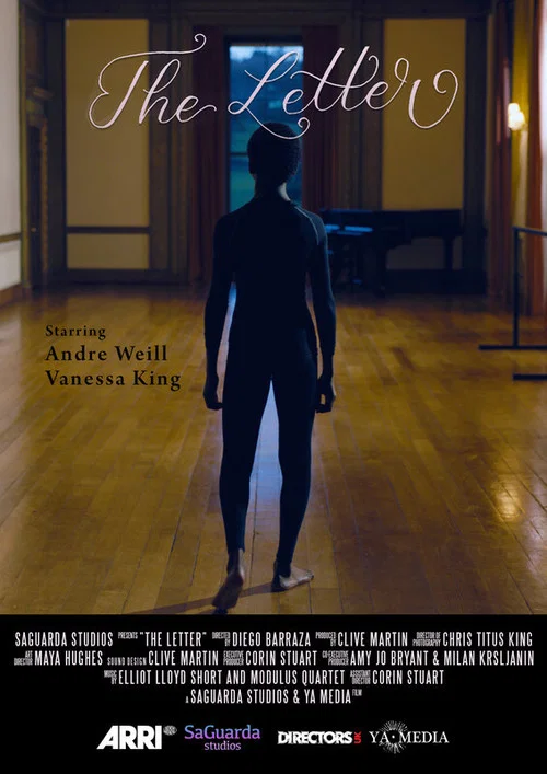 Movie poster for The Letter (2019)