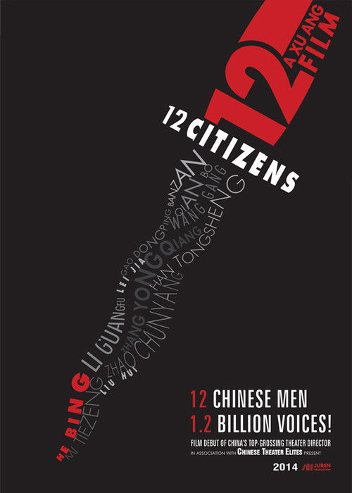 Movie poster for 12 Citizens (2014)