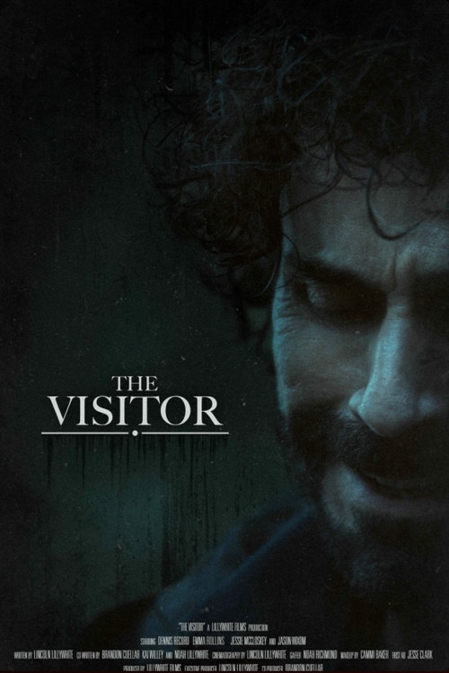 Movie poster for The Visitor (2025)