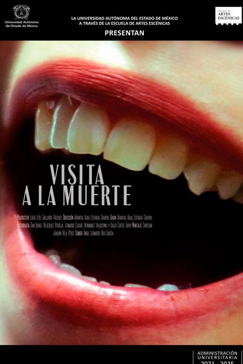 Movie poster for Visit to Death (2022)