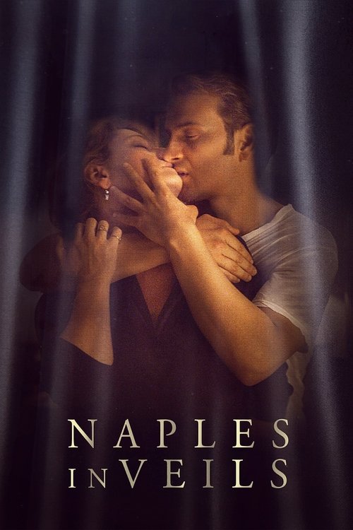 Movie poster for Naples in Veils (2017)