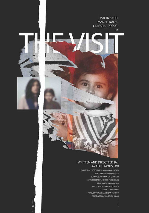 Movie poster for The Visit (2020)