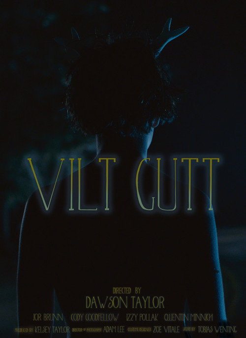 Movie poster for Vilt Gutt (2016)