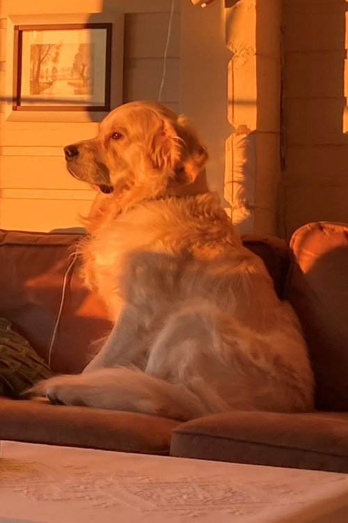 Photo of Caspian, Acting