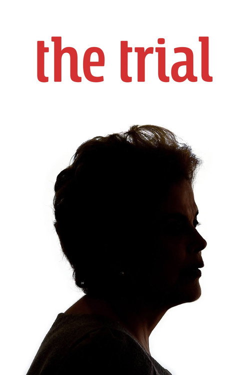 Movie poster for The Trial (2018)