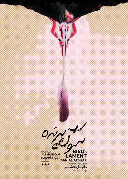 Movie poster for Bird's Lament (2021)