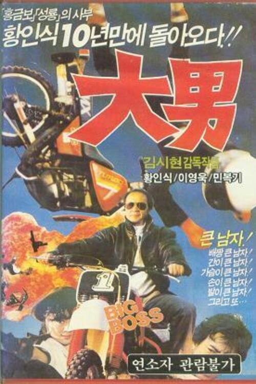 Movie poster for Daenam (1989)