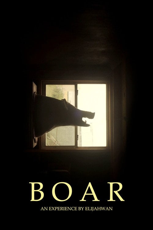 Movie poster for B O A R (2020)