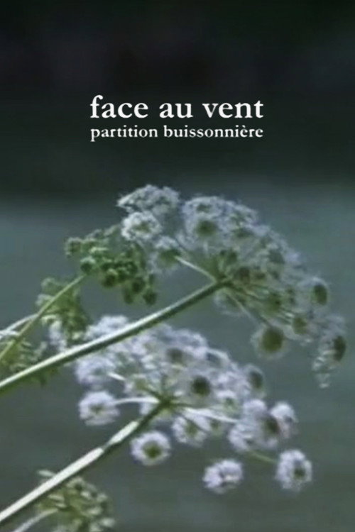 Movie poster for Face au vent, partition buissonnière (2010)