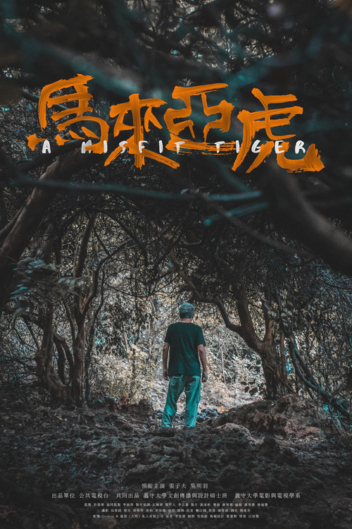 Movie poster for A Misfit Tiger (2025)