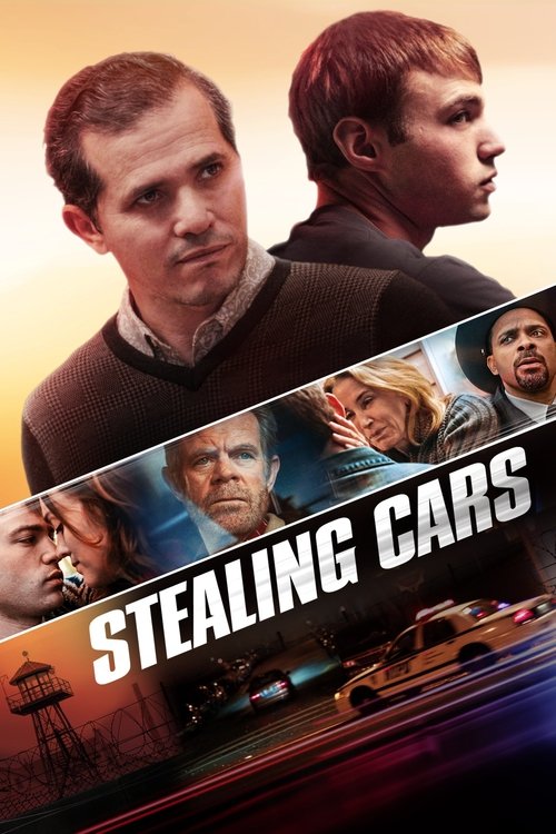Stealing Cars poster