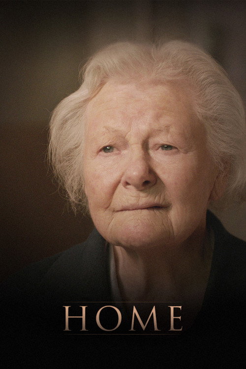 Movie poster for HOME (2014)