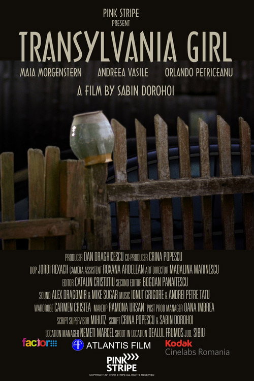 Movie poster for Transylvania Girl (2011)