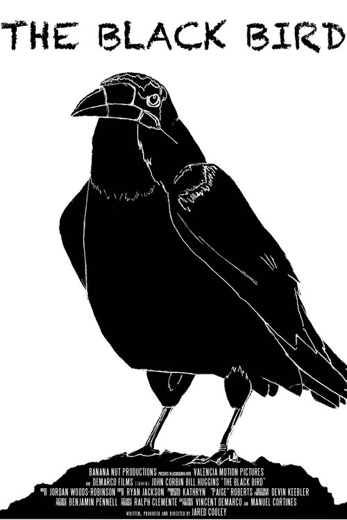 Movie poster for The Black Bird (2013)