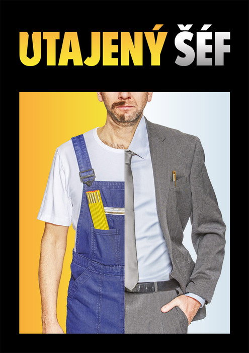 Utajený šéf poster