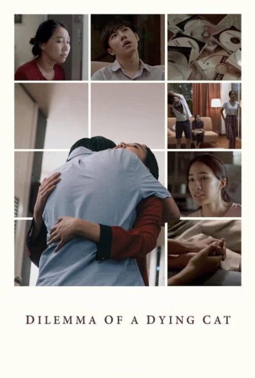 Movie poster for Dilemma Of A Dying Cat (2018)