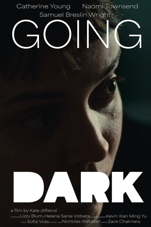 Movie poster for Going Dark (2025)