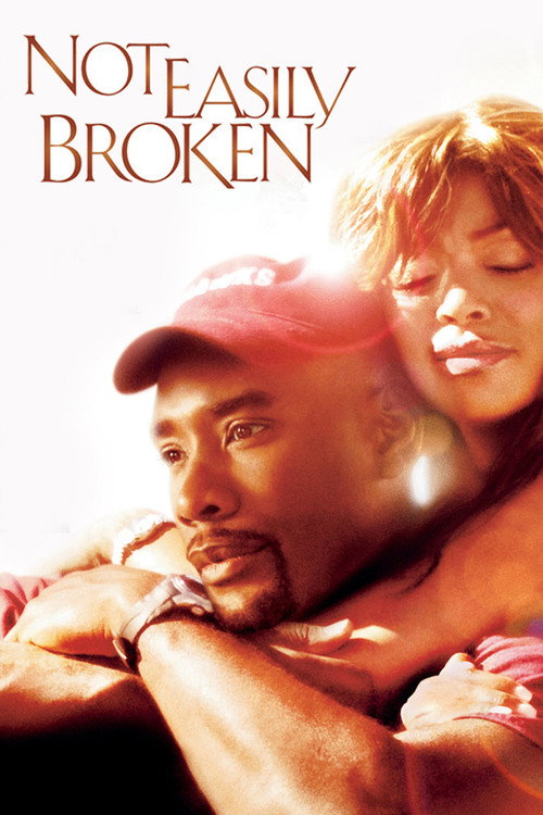 Movie poster for Not Easily Broken (2009)