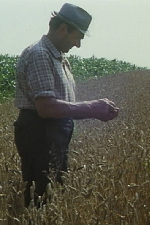 Movie poster for Mikolaš Farmer Worker's First Holidays (1984)