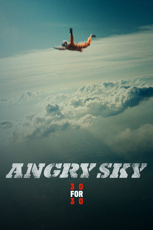 Movie poster for Angry Sky (2015)