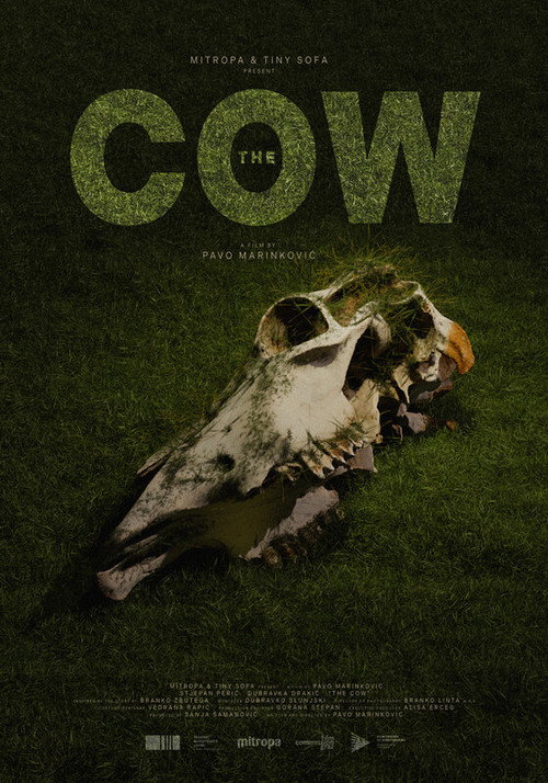 Movie poster for The Cow (2025)