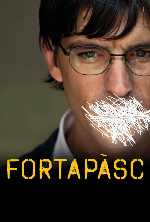 Movie poster for Fort Apache Napoli (2009)
