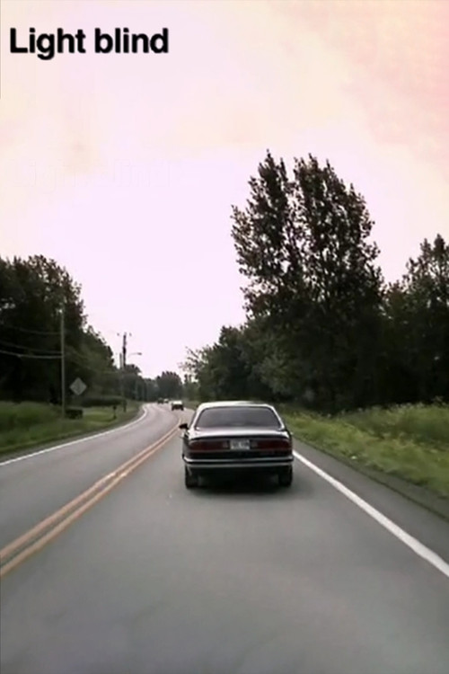 Movie poster for Light blind (2008)