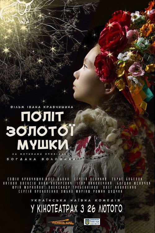 Movie poster for The Flight of the Golden Fly (2016)