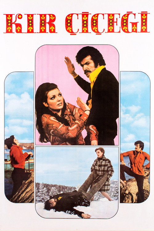 Movie poster for Kır Çiçeği (1974)