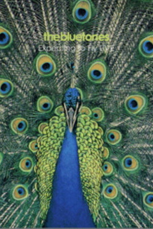 Movie poster for The Bluetones: Expecting To Fly Live (2009)