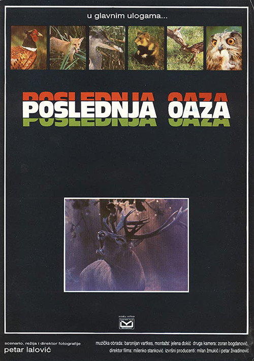 Movie poster for The Last Oasis (1983)
