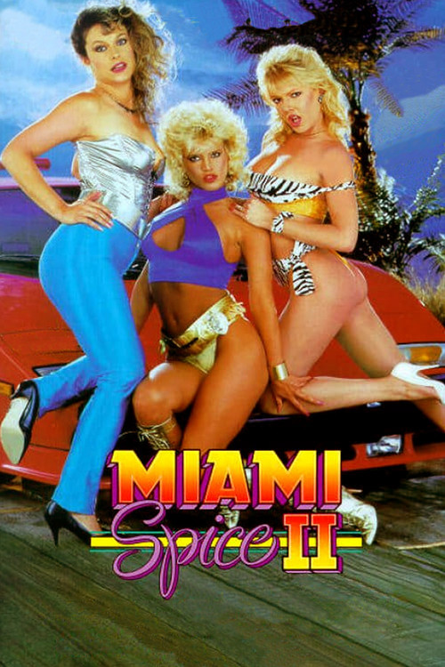 Movie poster for Miami Spice II (1988)