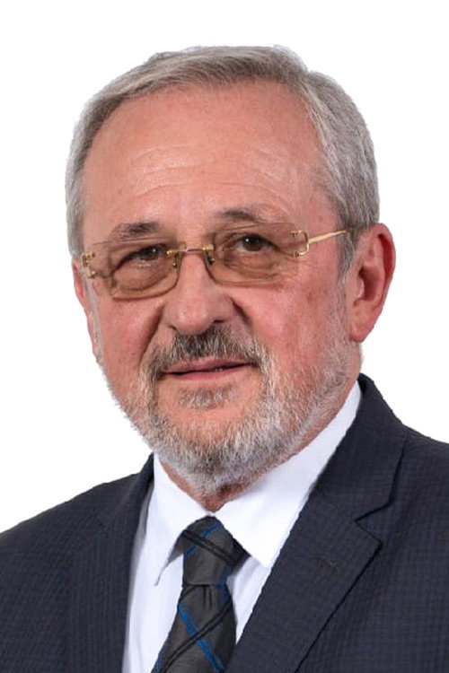 Photo of Ivica Šarić, Acting