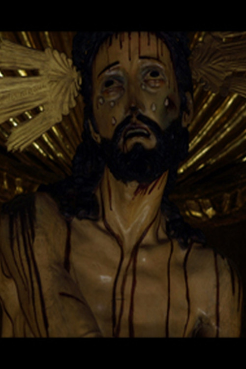 Movie poster for desires (2015)